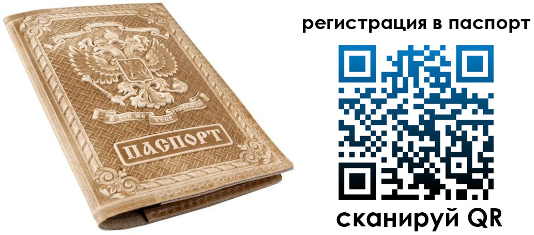 прописка в Черняховске
